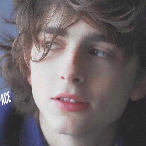 transfer-top@Michael