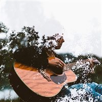 transfer-top@Bridget