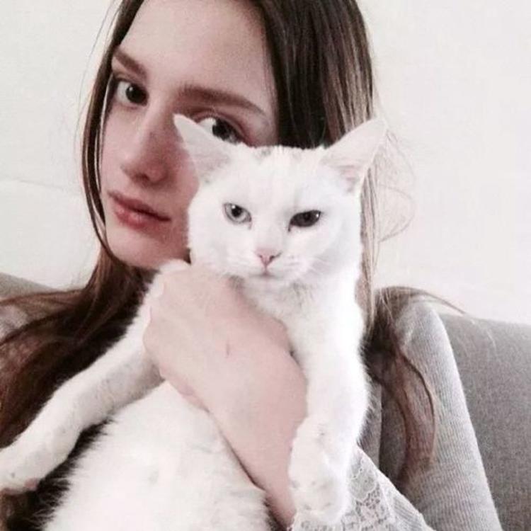 transfer-top@Dashiell