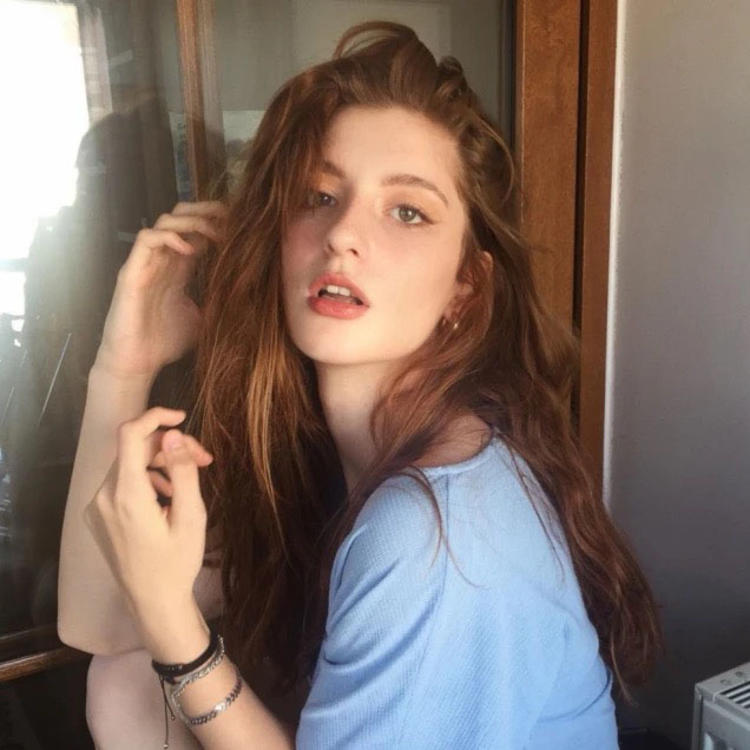 transfer-top@Dashiell