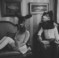 पहाड़ों का सिलसिला