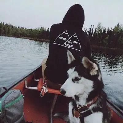 transfer-top@Eleanor