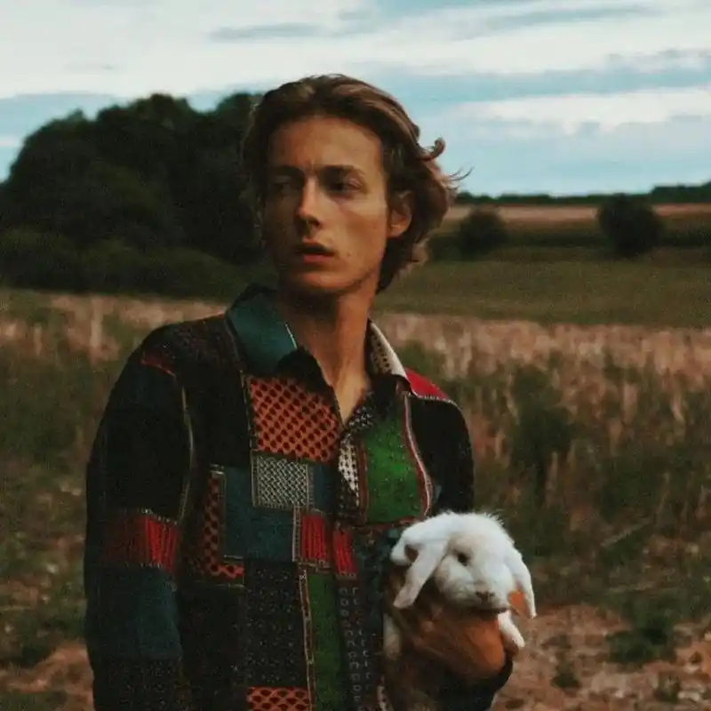 transfer-top@Beckett